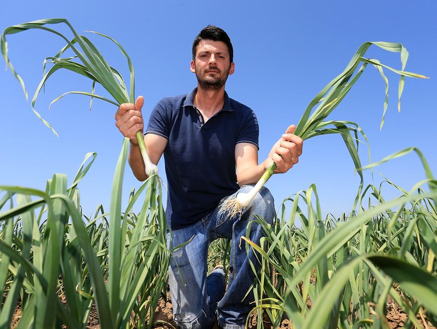 Fotografija: Davor Javorović/PIXSELL opg galić 1